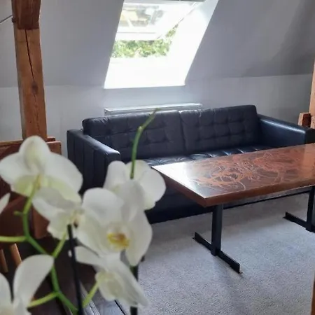 公寓 Exclusives Loft, Klimaanlage, Parkplatz, Netflix & Disney, Dominospizza, Wallbox